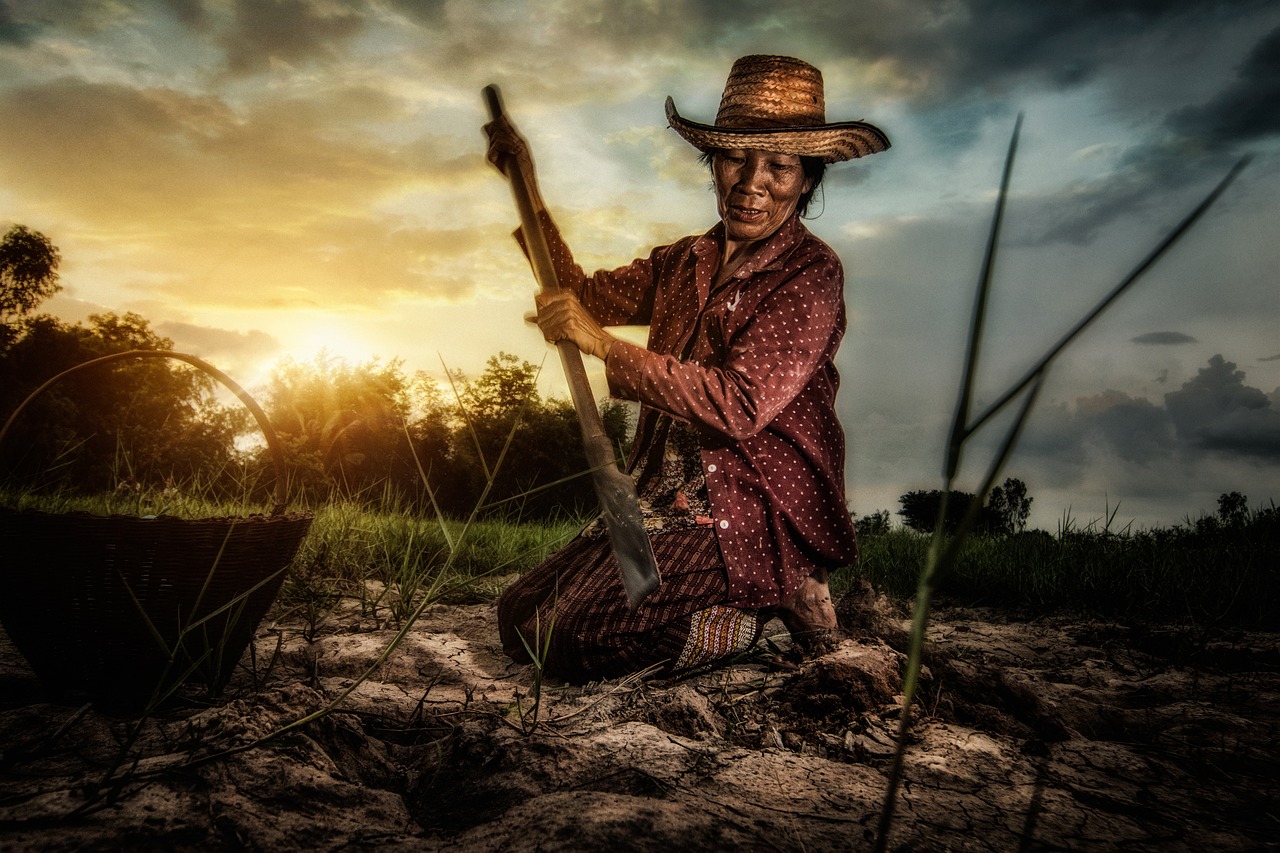 初心者におすすめの婚活イベントはどこ？