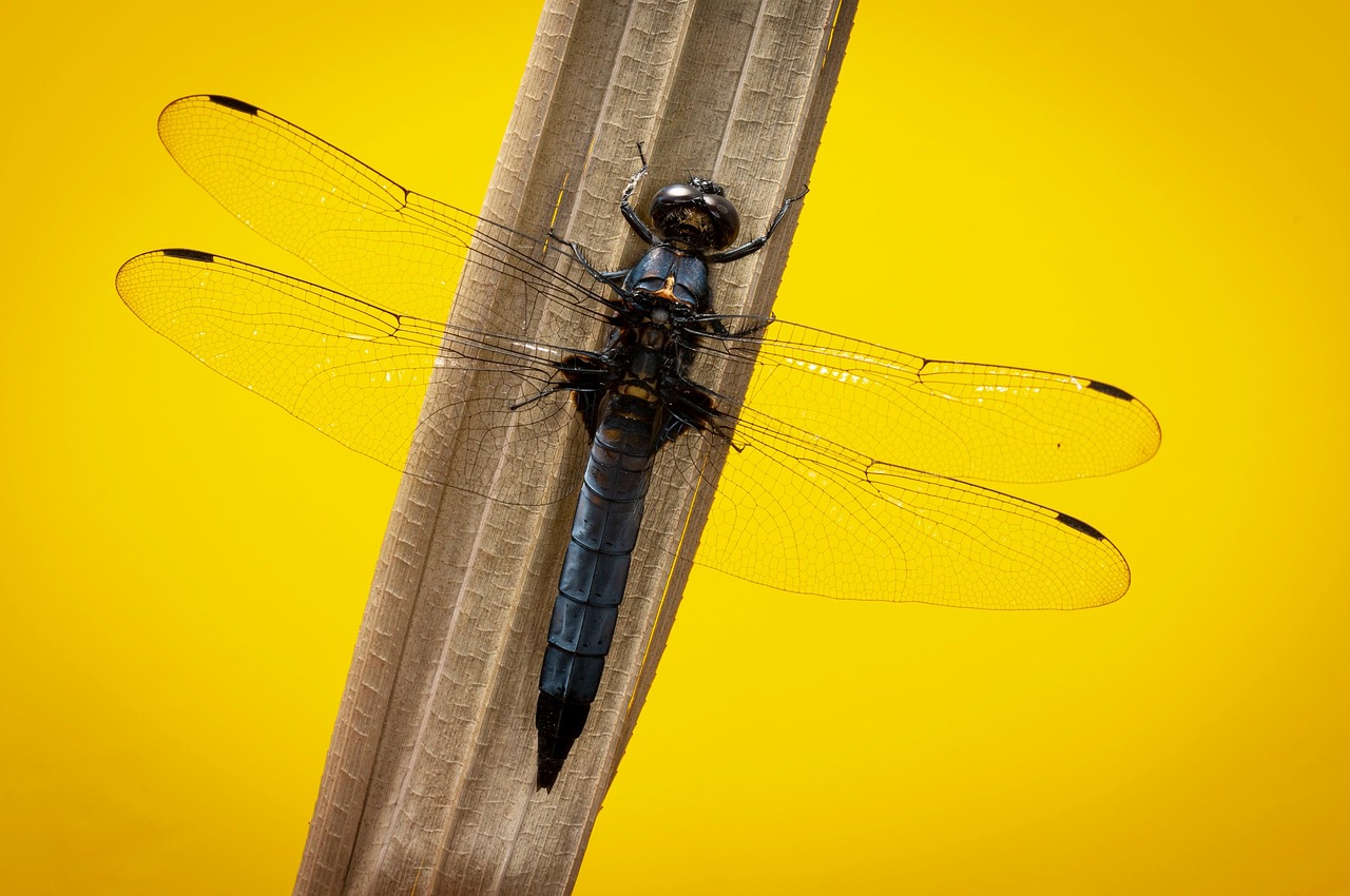 婚活イベントに初参加する際の成功のコツは？