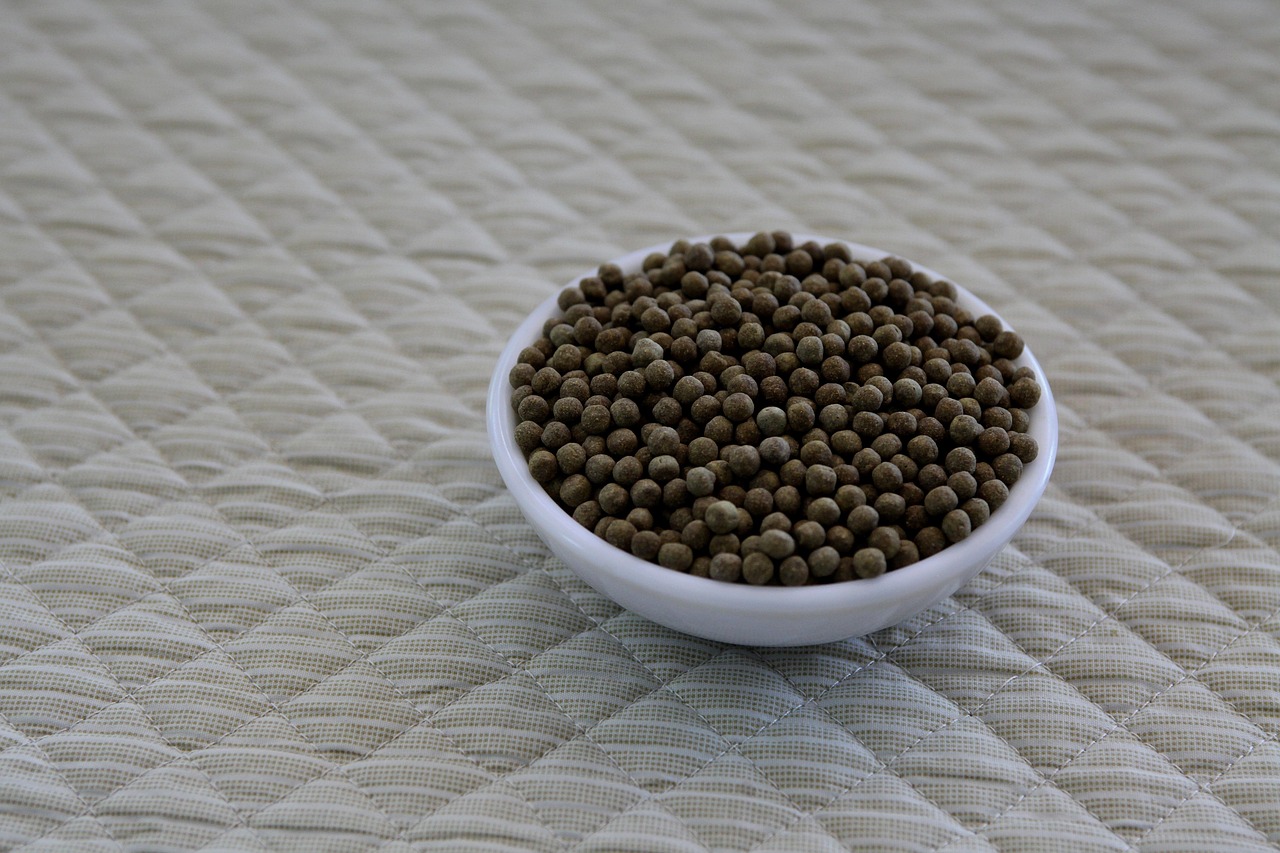 婚活で出会いの場が苦手な人におすすめの対策は？