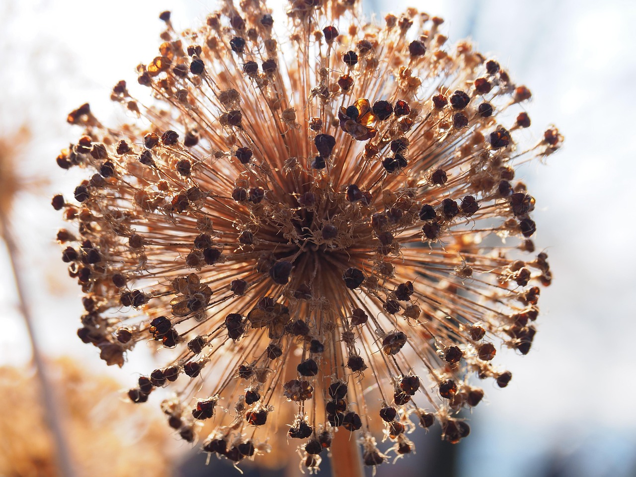 婚活イベントが終わった後の連絡はどうすればいい？