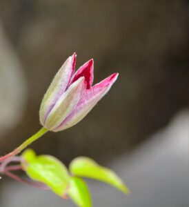 婚活初心者のための服装選び方は？