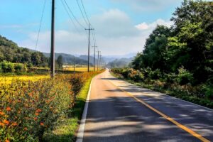 婚活の無料相談は本当に行くべきなのか？