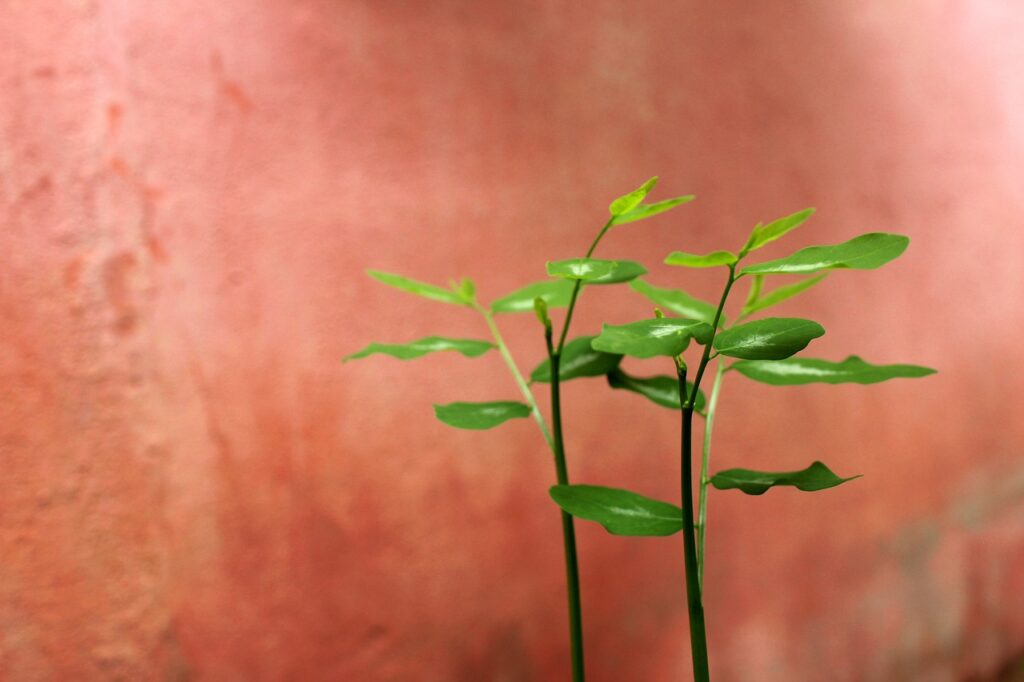 婚活をやめたい気持ちへの対処法は？