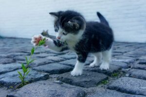 婚活で幸せな夫婦になるための秘訣は？